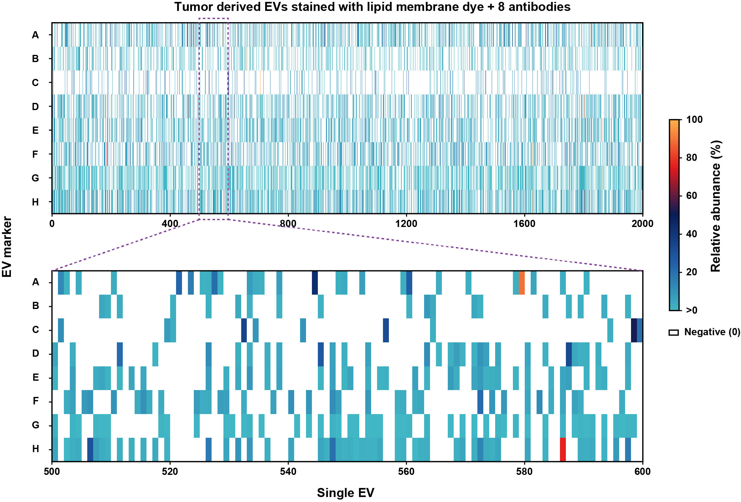 Eight-marker single-EV heatmap with an expanded view of EVs 500–600