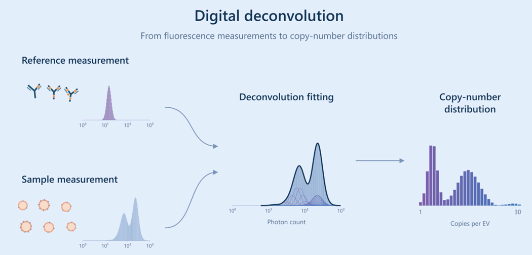 Digital deconvolution: fluorescence measurements, fitting, and biomarker copy-number distributions