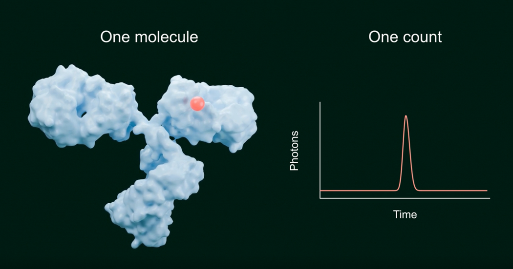 One molecule, one count: fluorescently labeled antibody and single photon burst